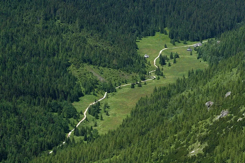 Jaworzynka