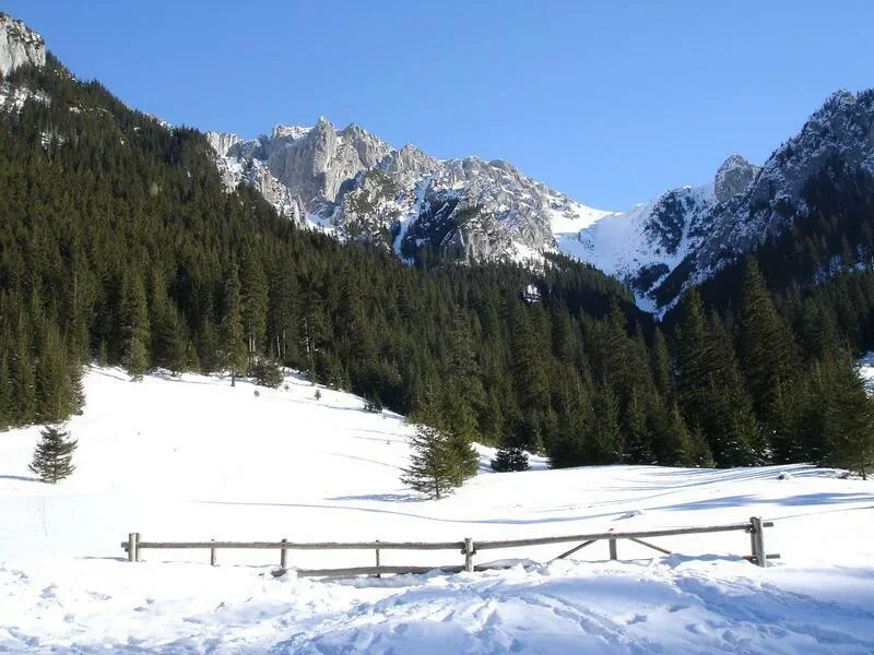 Hala Pisana