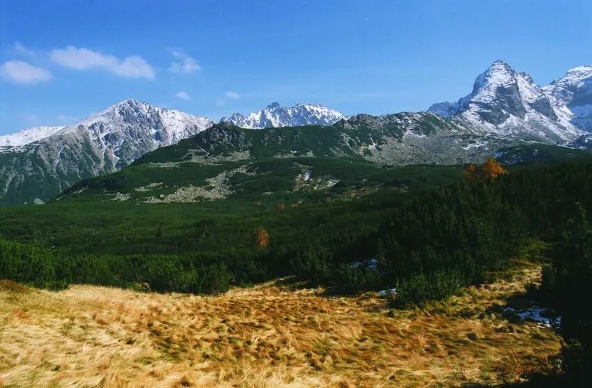 Dolina Gąsienicowa