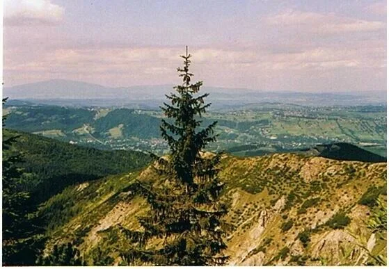 DOLINA GĄSIENNICOWA