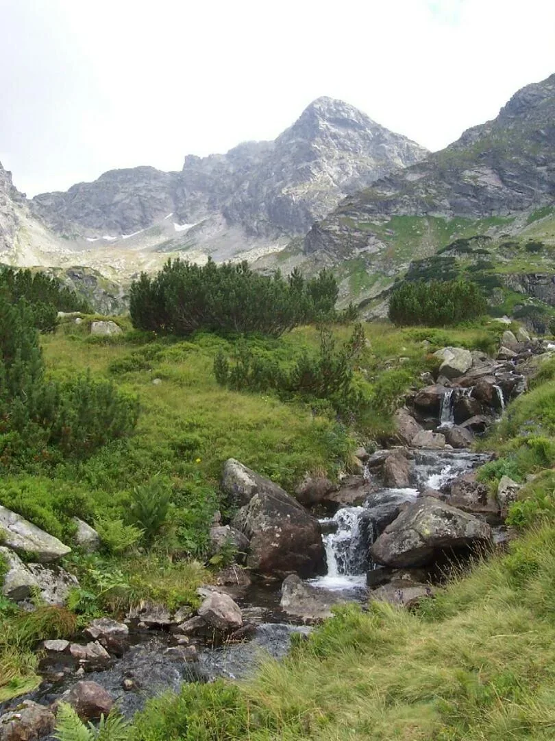 Dolina Gąsienicowa