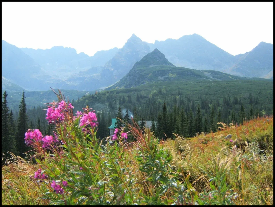 Znajomy widok