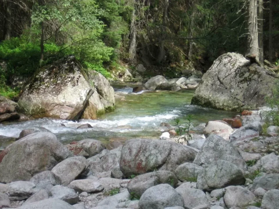 Dolina Roztoki