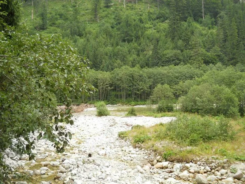 Dolina Rybiego Potoku
