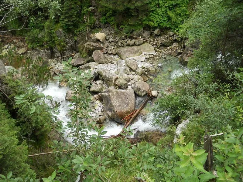 Dolina Rybiego Potoku