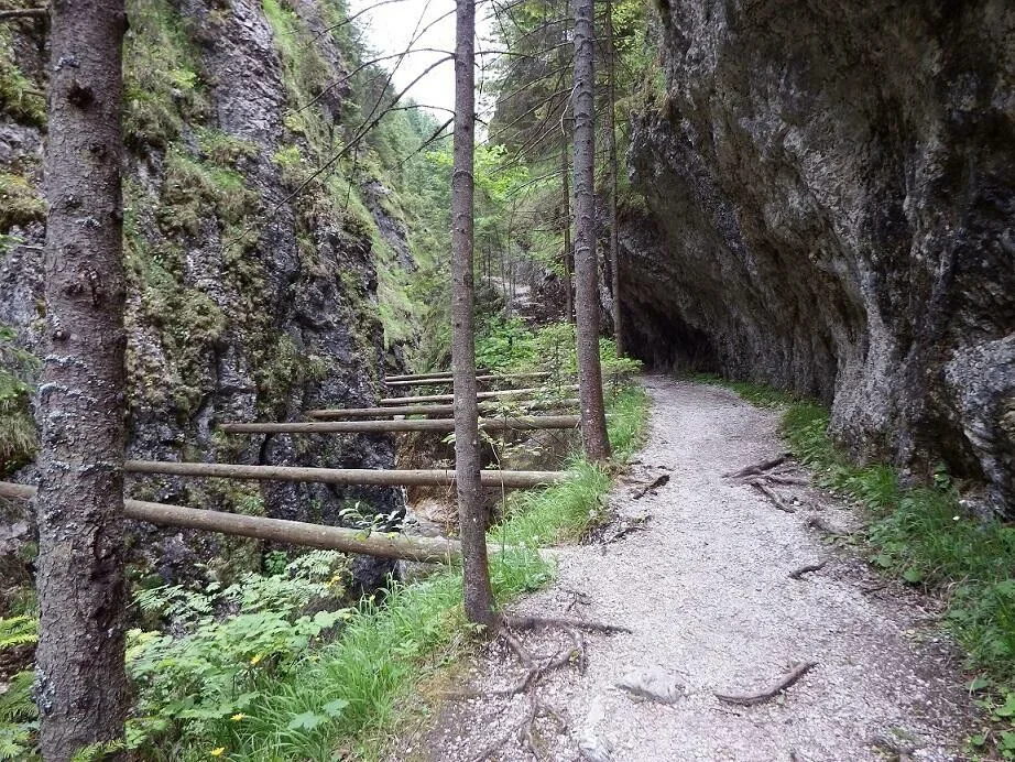 w Juraniowej Dolinie