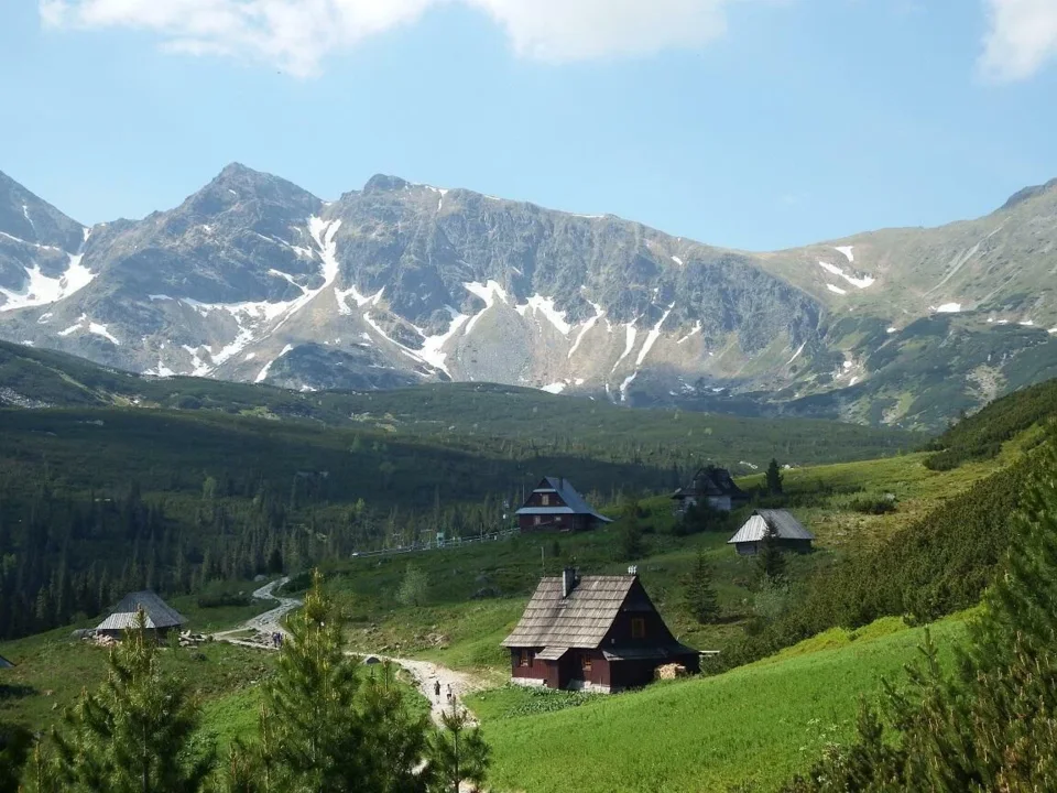 Hala Gąsienicowa