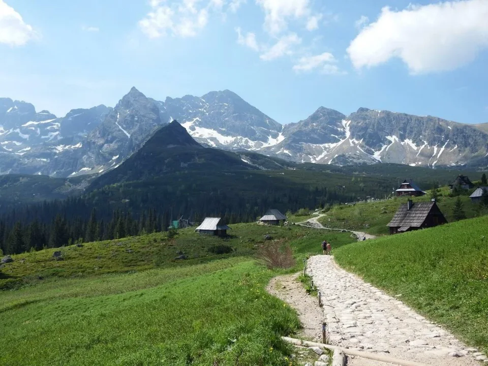 Hala Gąsienicowa