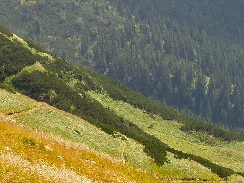 Widok z Kasprowego Wierchu