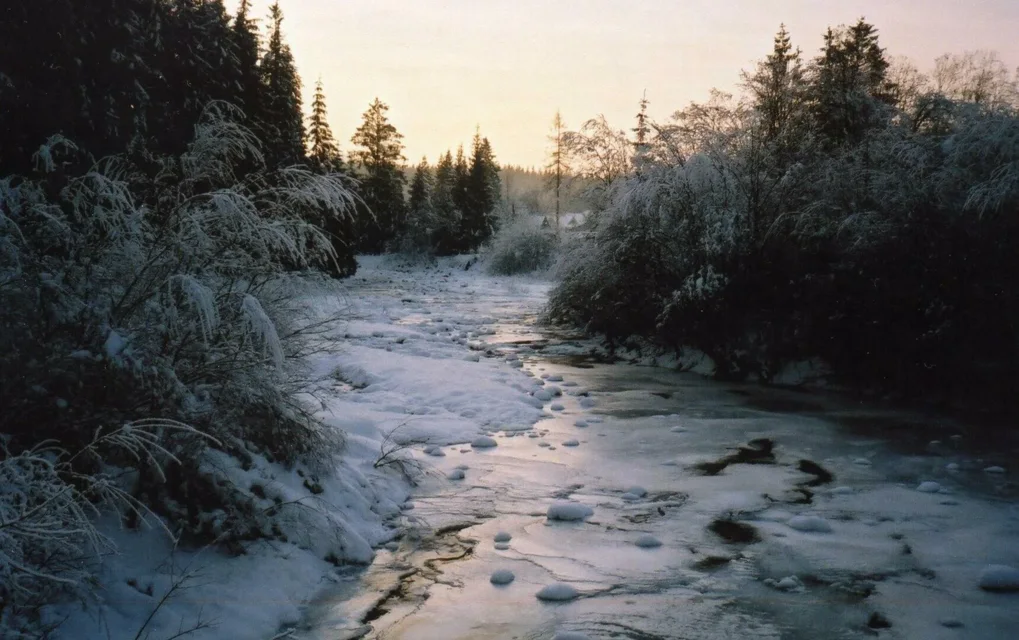 Małe Ciche