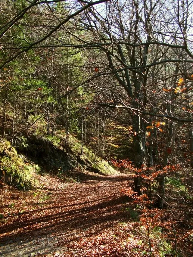Pozdna jesen v Kvacianskej doline