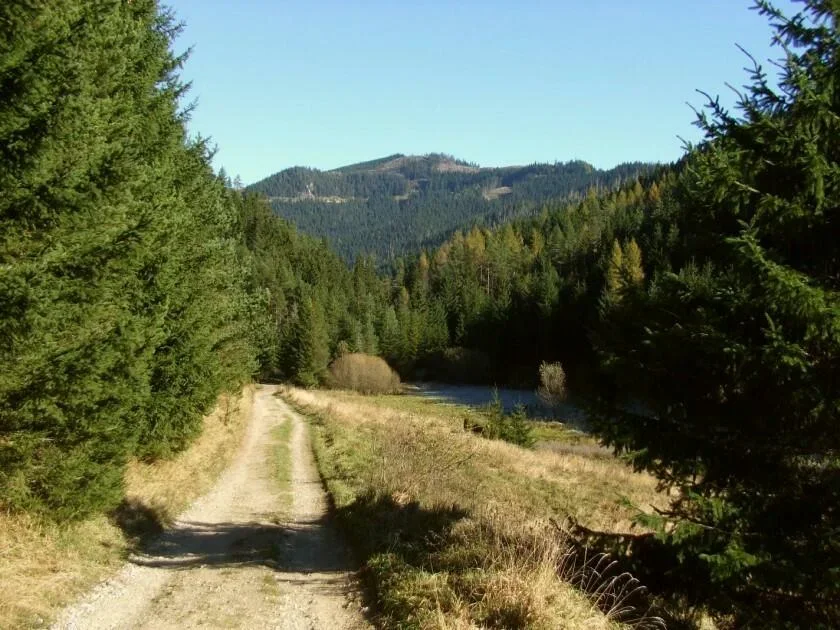 Holica znad Borovianky
