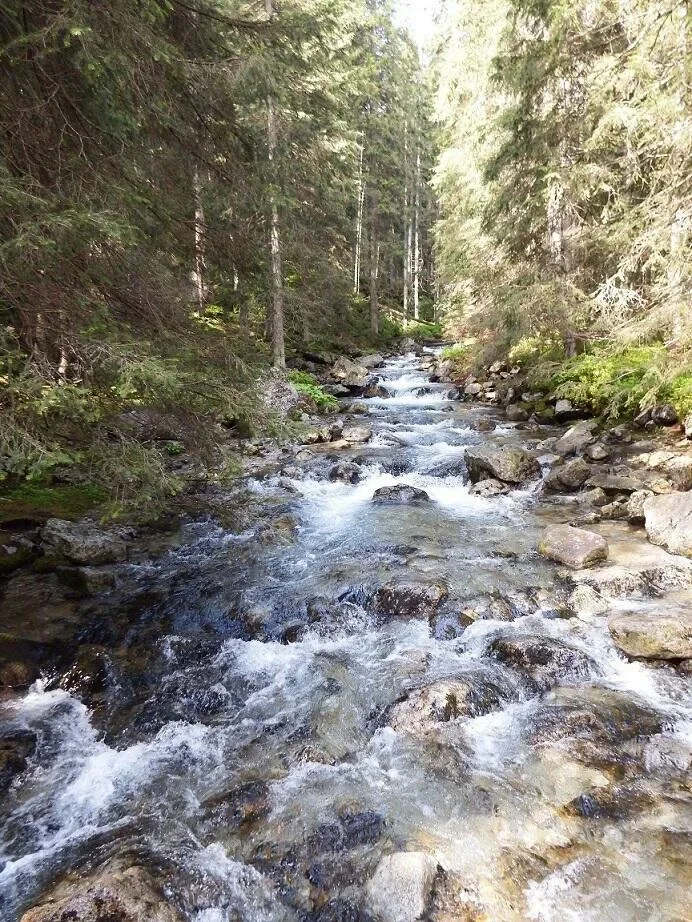 potok Roztoka