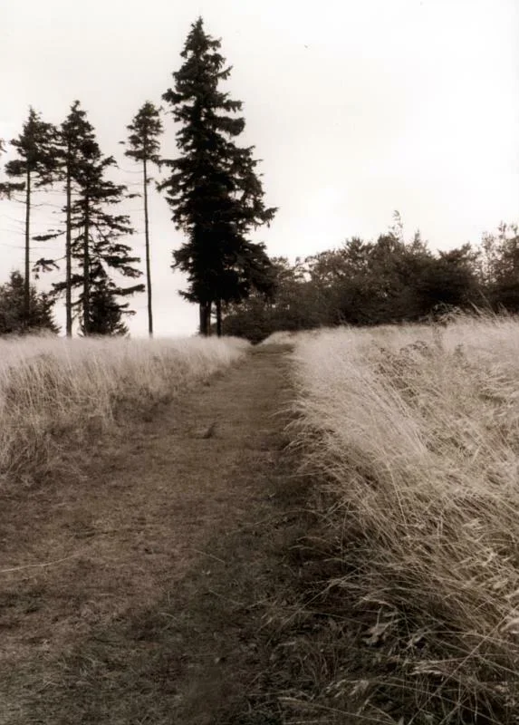 Beskid Sądecki