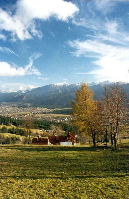 Dziedzina