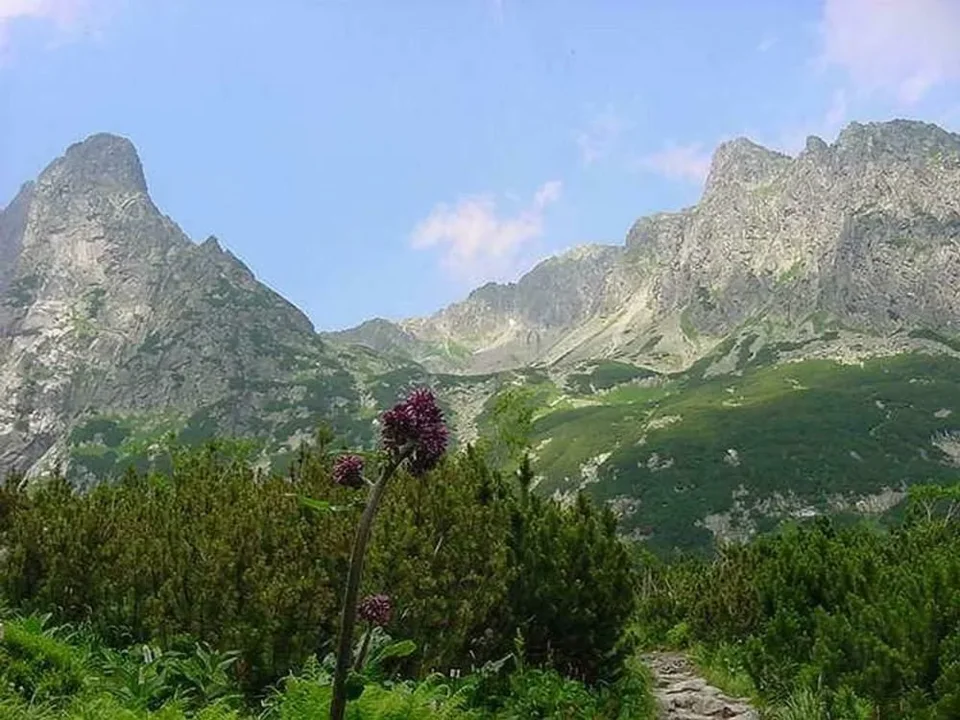 Jastrzębia Wieża - widok ze szlaku