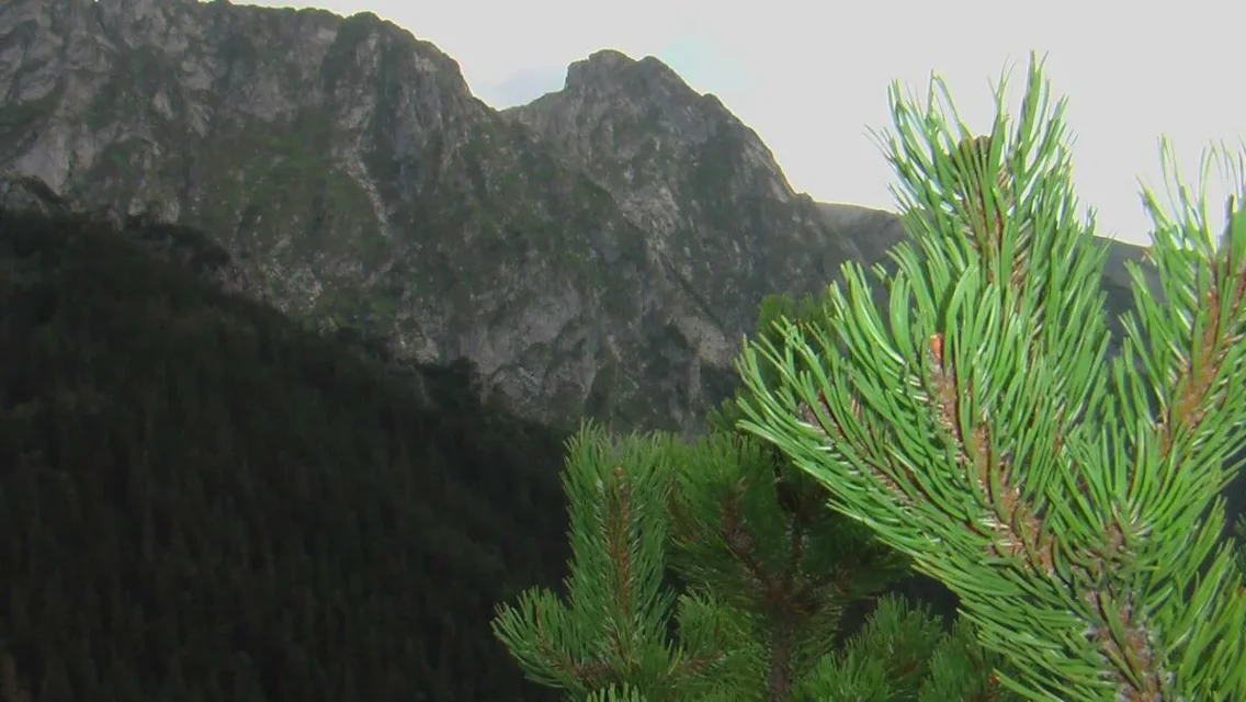Giewont z Sarniej Skały