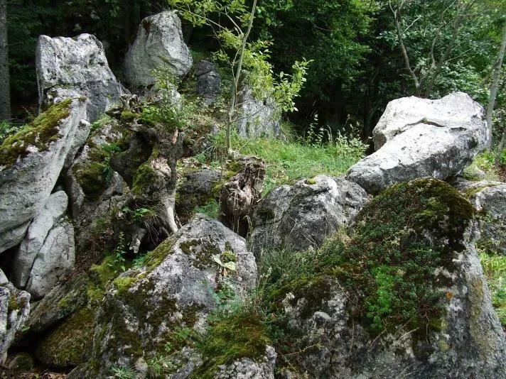Na Rakytine