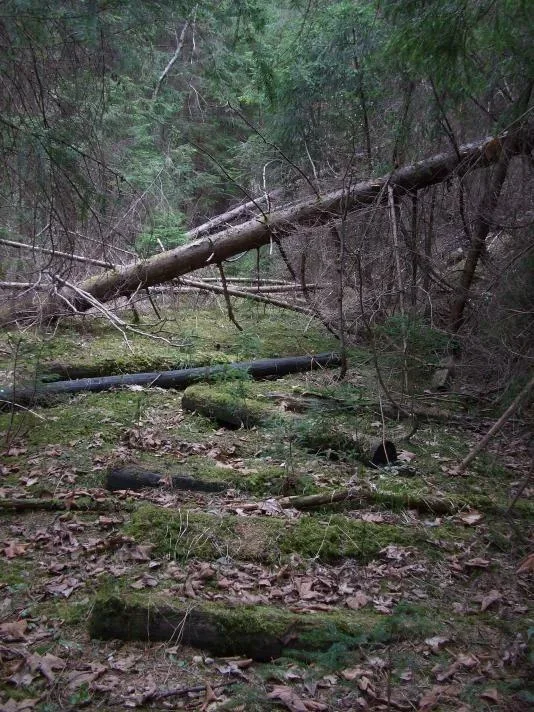 Cierny Vah - Benkovo