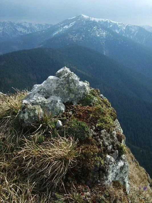 Sina na juznom hrebeni vzadu Nizny Bor