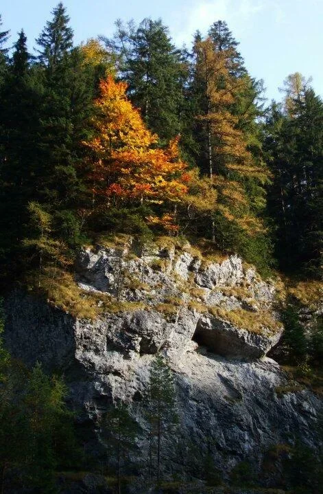 Kvacianska dolina Oblazy