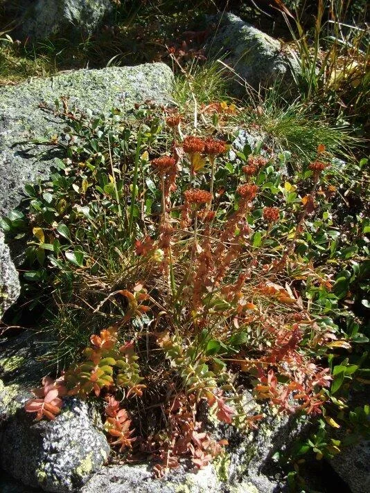 Mlynicka dolina na prahu Skok