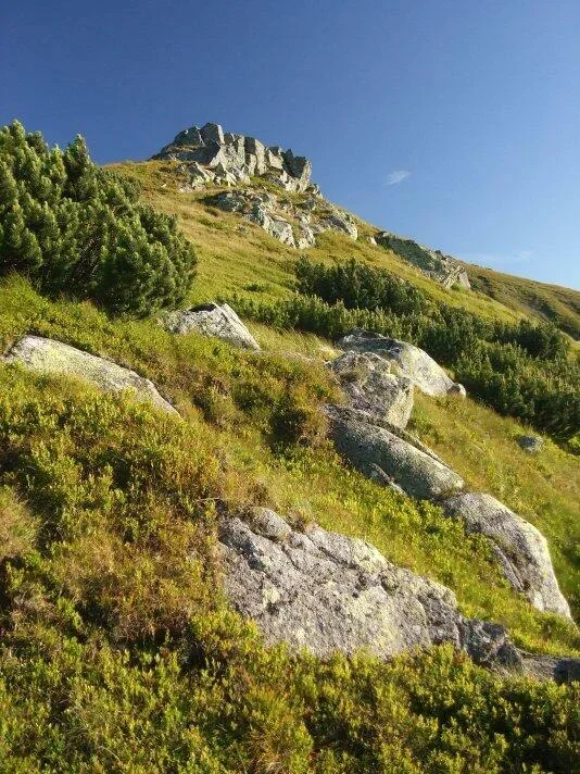 skalky Boru