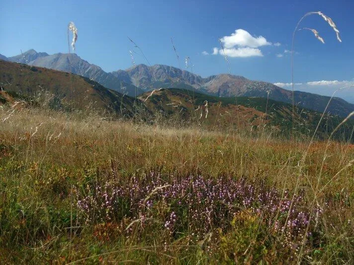 na Dlhom uplaze Zabrad Pachola Spalena Salatiny Brestova