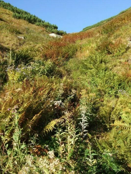 botanicka zahrada v Jariabcom