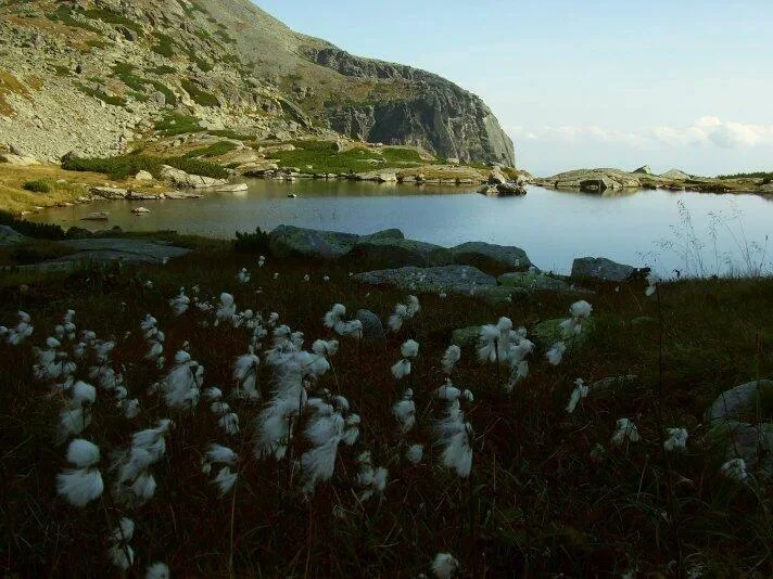 Pleso nad Skokom