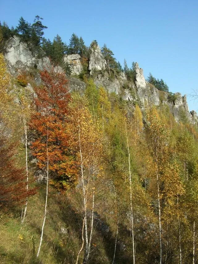 Opaliska - Setisko_Selnice