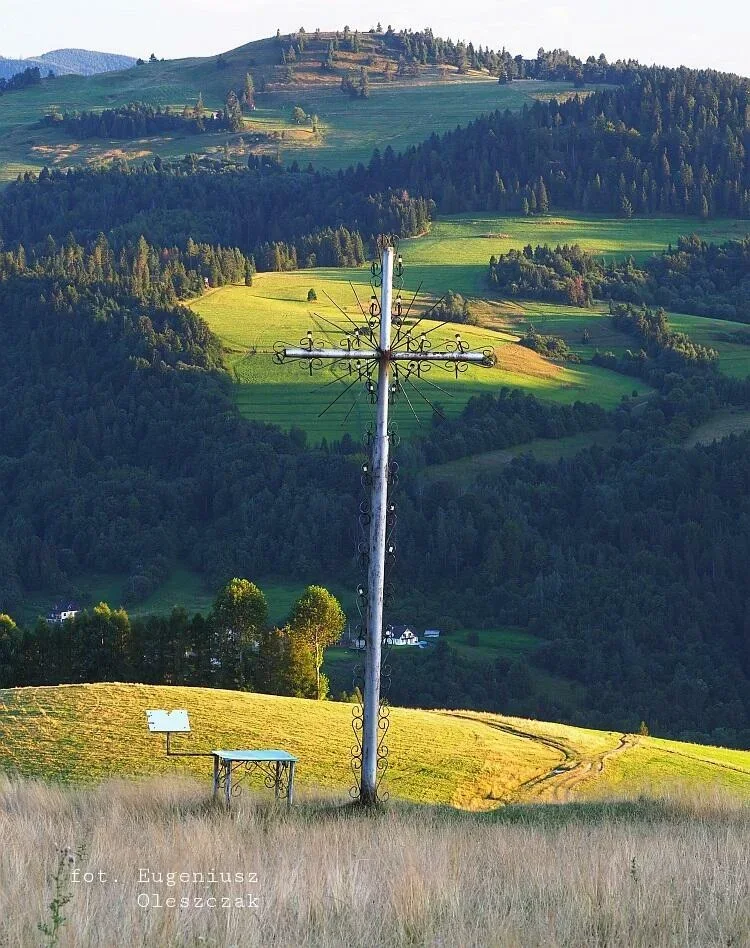 Widok na Wysoki Wierch znad Szlachtowej