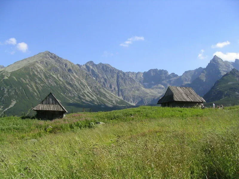 Dolina Gąsiennicowa