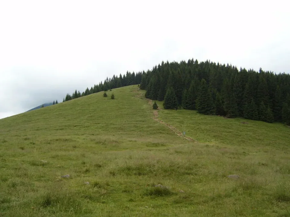 Szlak na Gęsią Szyję