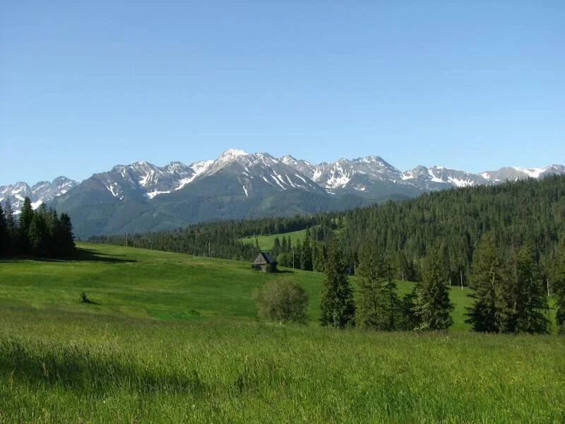 Głodówka- widok na Tatry