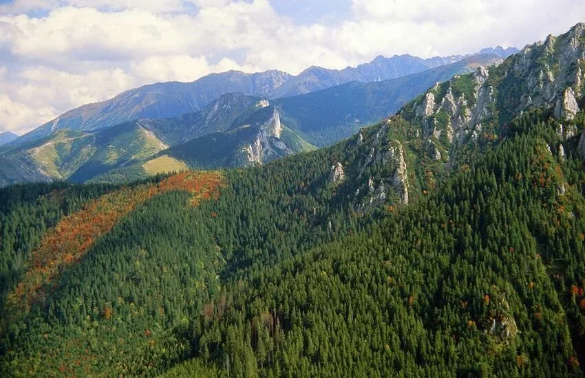 Panorama Tatr z Sarniej Skały