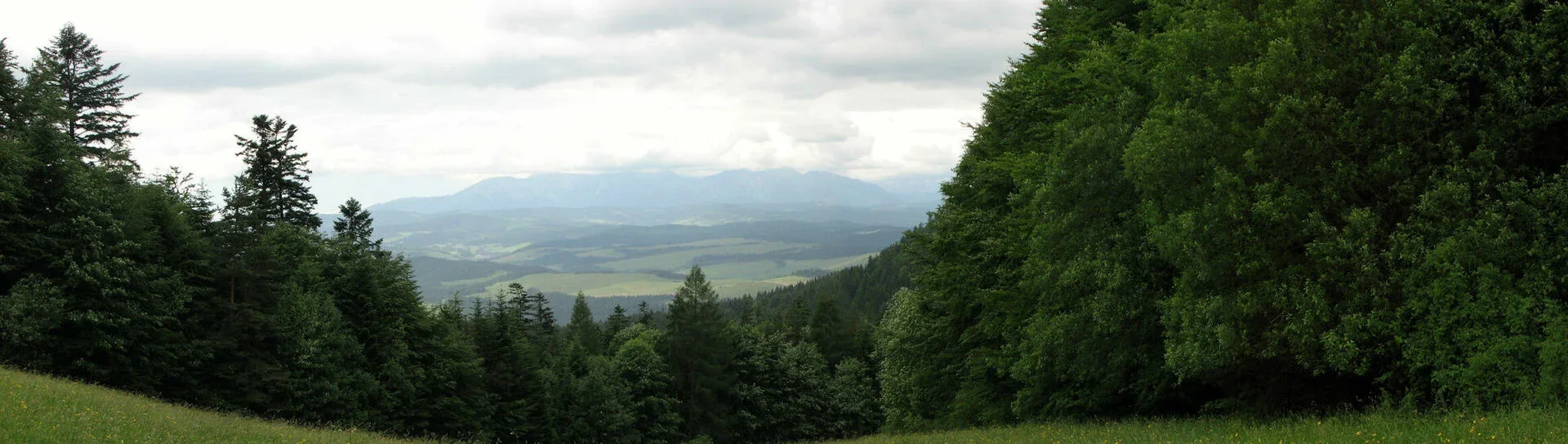 Tatry z Przełęczy Chwała Bogu w Pieninach