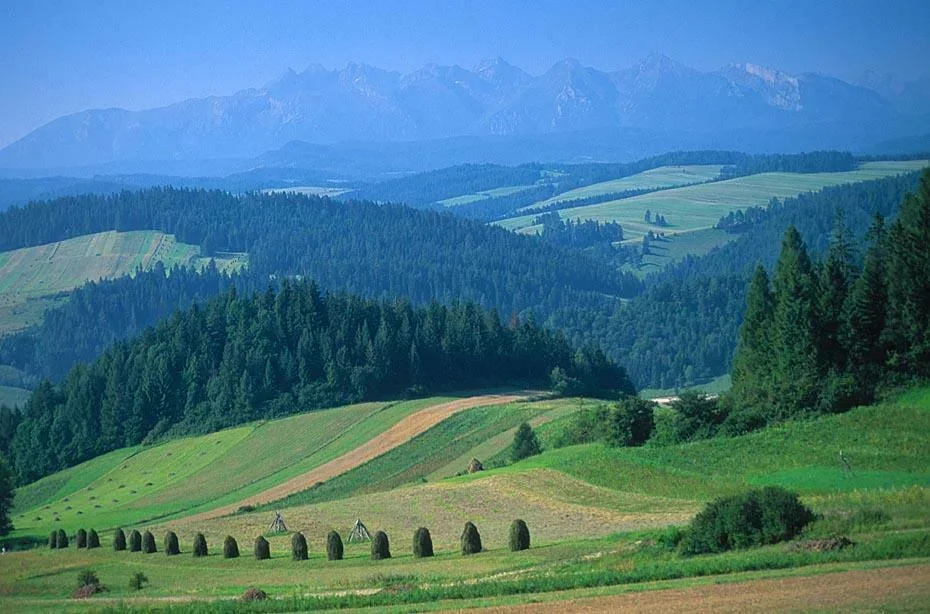 Pieniny