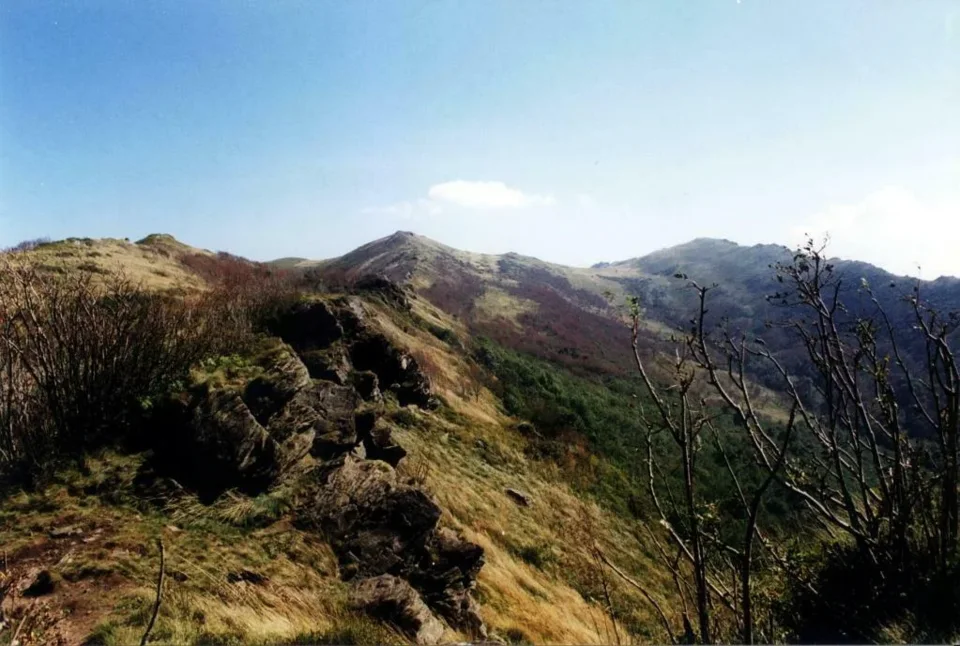 Widok na Bukowe Berdo