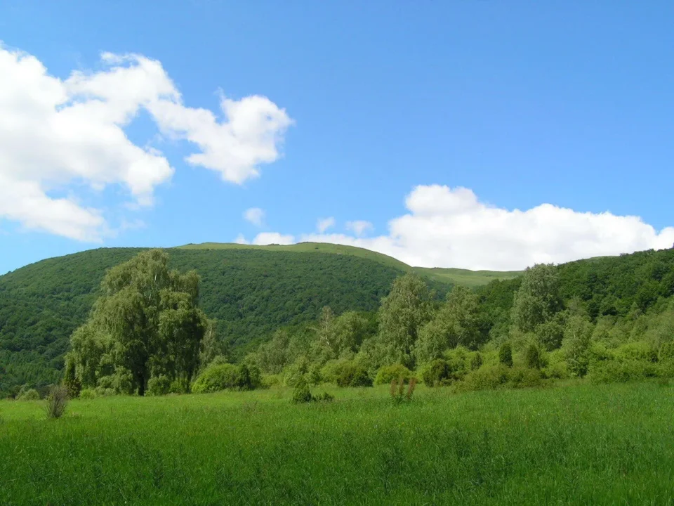 Bieszczady