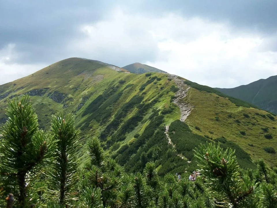 Widok na Kopę