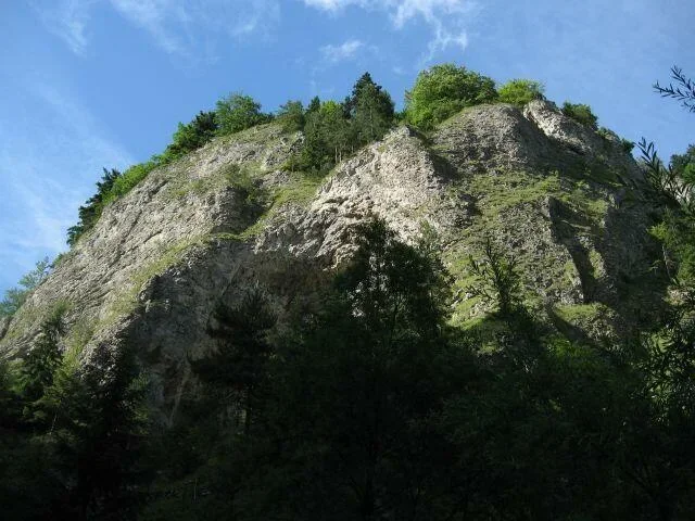 Wąwóz Szopczański IV