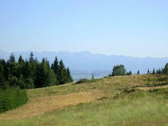 Tatry z Gorców