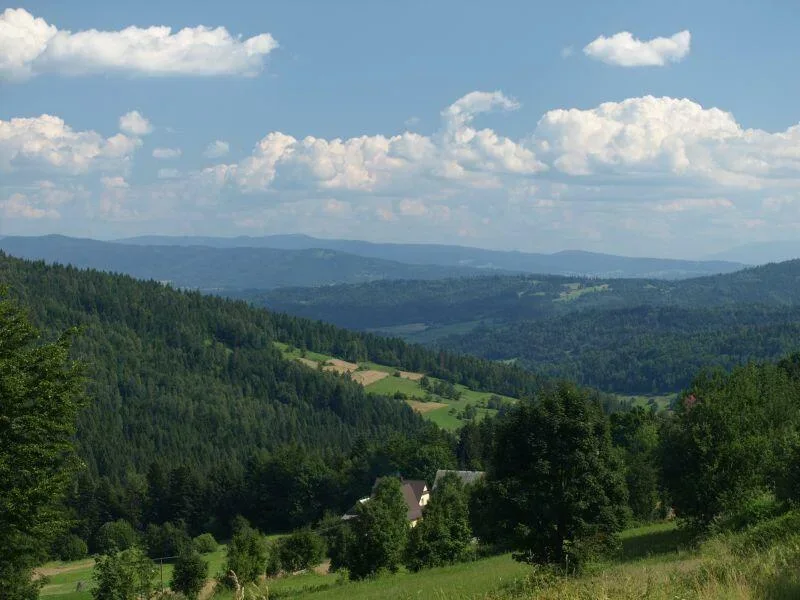 Widok z Koskowej Góry