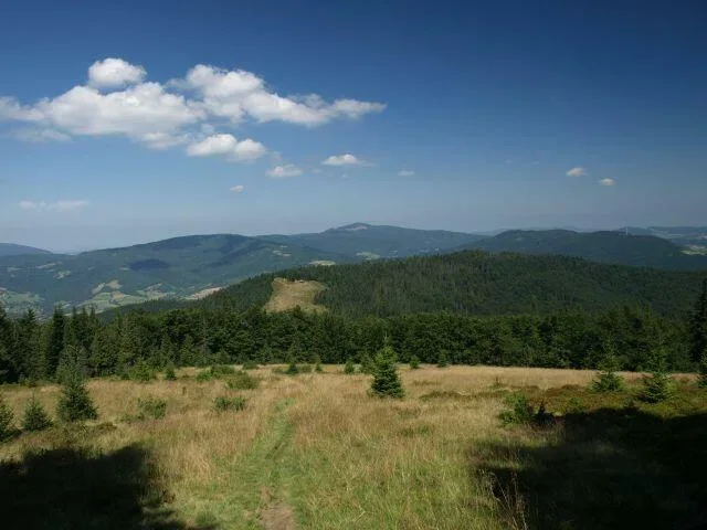 Widok z Gorców na Mogielicę