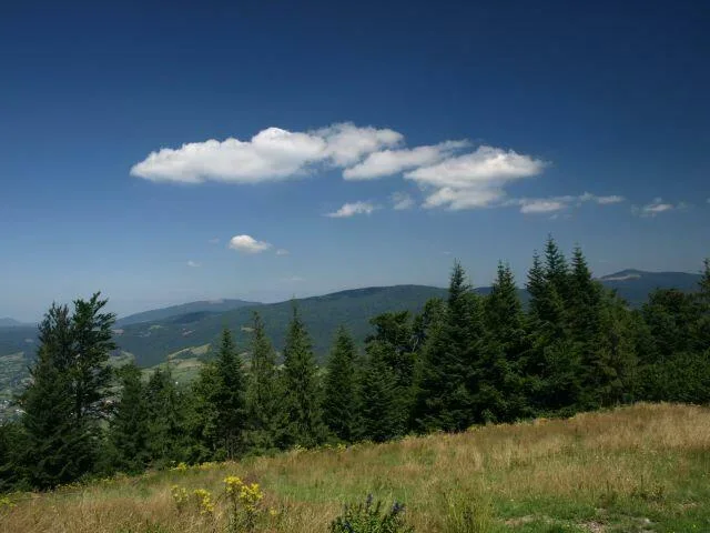 Widok z Gorców na Beskid Wyspowy