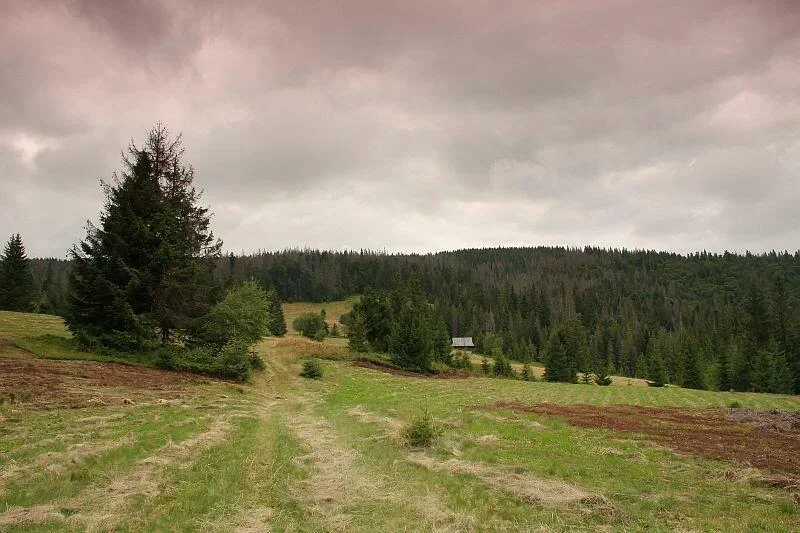 Polana Stawieniec w Gorcach