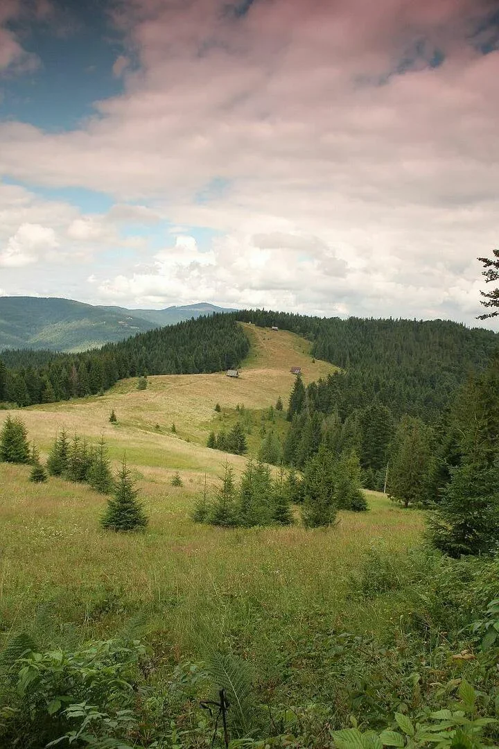 Polana Podskały - Gorce