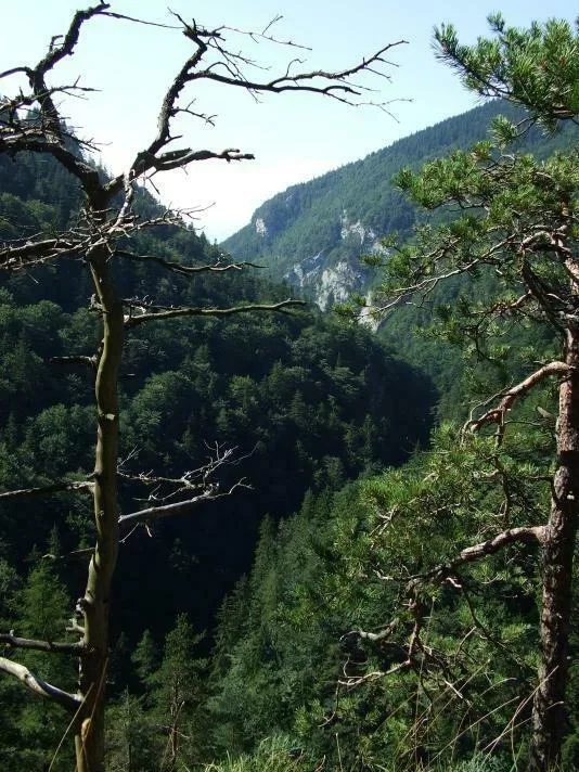 Kvacianska dolina