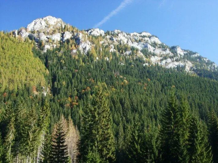Ohniste do Puchaliek Janska dolina